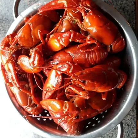 Sinikallio | Paajoen Vuokramoekit Willa *