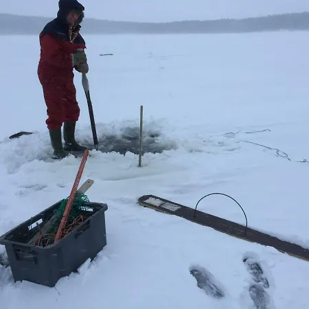 Sinikallio | Paajoen Vuokramoekit Willa