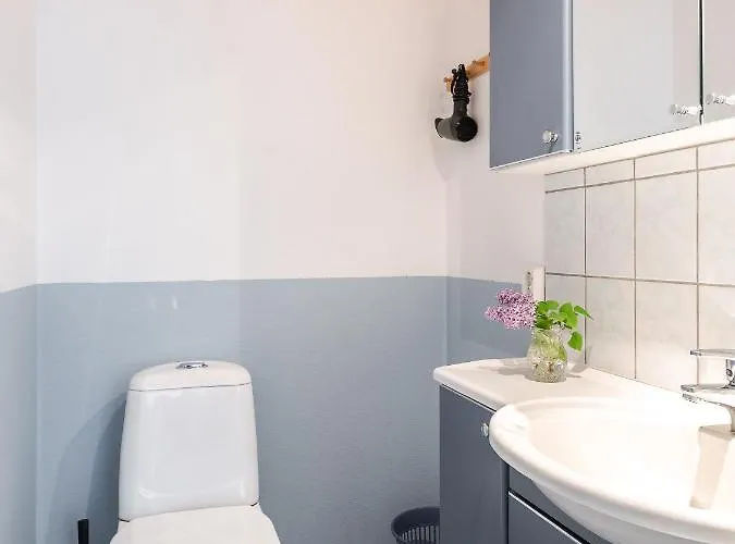 Sinikallio | Paajoen Vuokramoekit 别墅