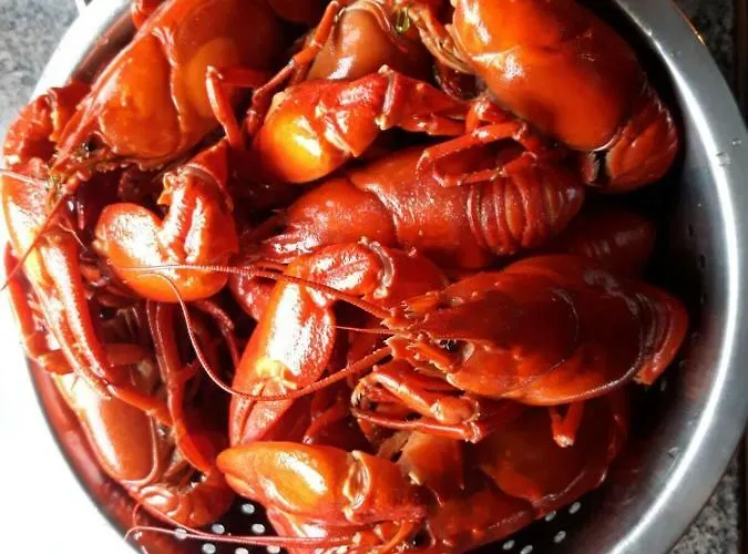 Sinikallio | Paajoen Vuokramoekit 别墅 *