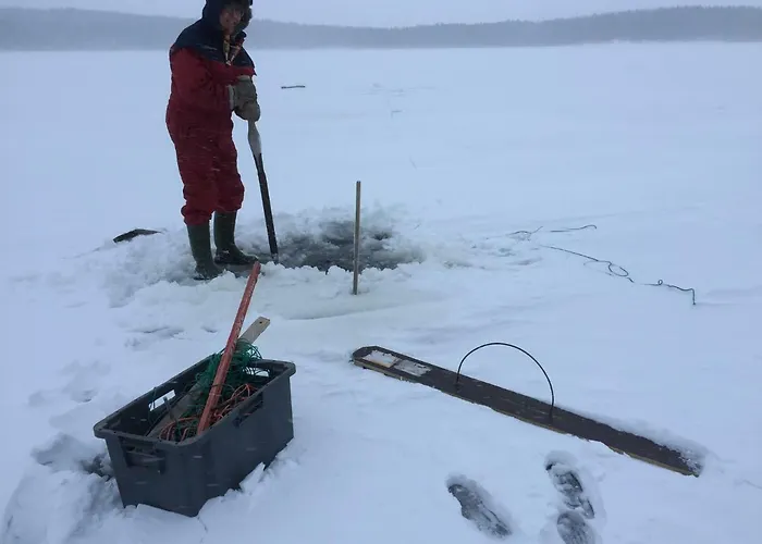 Sinikallio | Paajoen Vuokramoekit 别墅